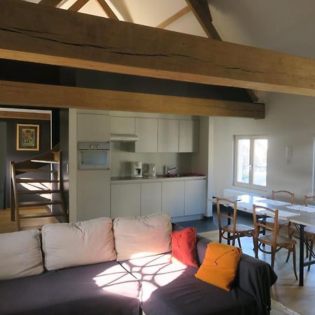 B&B / Studio De Druivelaar In Hartje Kluisbergen Bagian luar foto